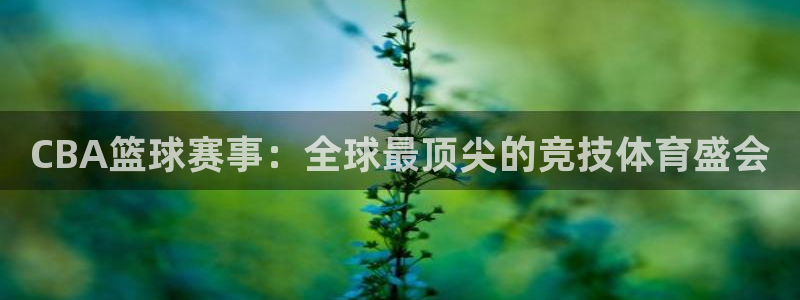 CBA篮球赛事：全球最顶尖的竞技体育盛会